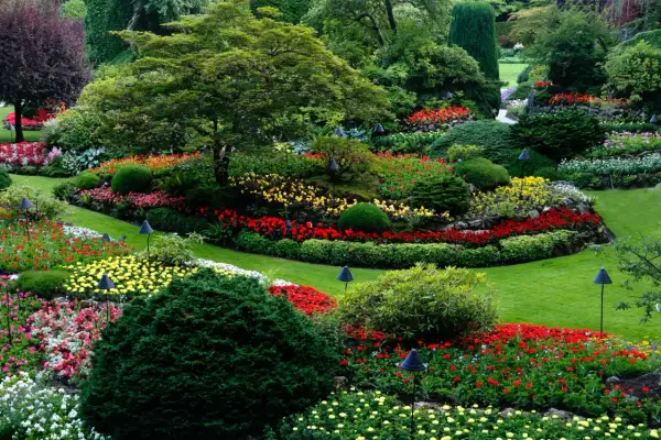 Arbustos que dan sombra: elige los mejores para tu jardín