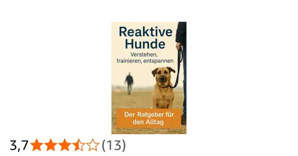 Ein Hund sitzt aufmerksam an der Leine. Der Titel "Reaktive Hunde" verspricht Hilfe für den Alltag.