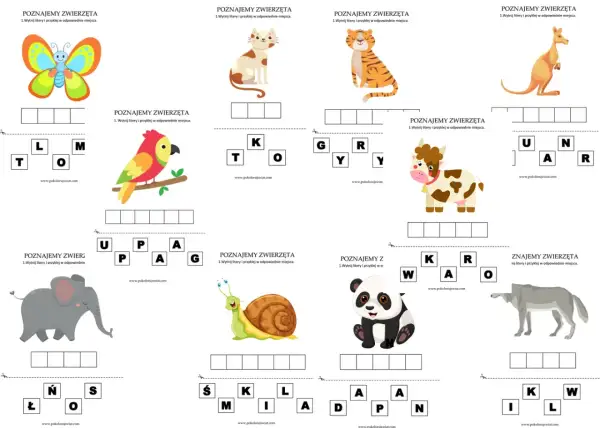 Zwierzęta karty pracy: motyl, papuga, słoń, ślimak, kot, tygrys, krowa, panda, kangur, wilk. Uzupełnij nazwy zwierząt.