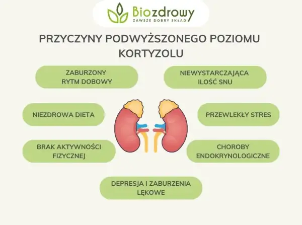 Objawy niskiego kortyzolu: Jak rozpoznać niedobór hormonu stresu?