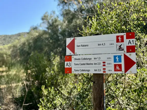 Cartelli segnaletici nel Parco Regionale della Maremma indicano sentieri per San Rabano, Oliveto Collelungo e Torre Castel Marino.