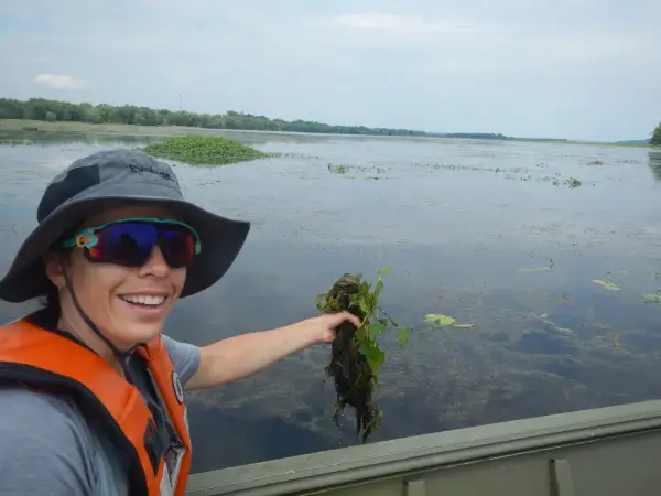 Une femme en gilet de sauvetage tient une plante aquatique, peut-être une châtaigne d'eau, dans un lac.