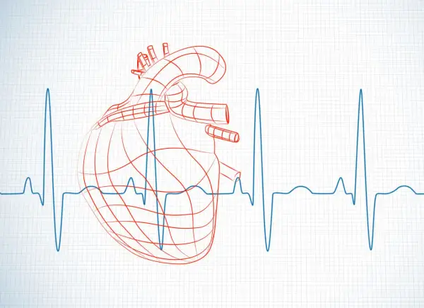 Szkic serca na tle EKG. Zastanawiasz się, hrv co to jest? To wskaźnik zmienności rytmu serca.
