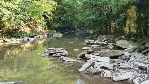 Kamieniste koryto rzeki w lesie, idealne na spacer po polańczyk szlaki. Woda odbija zieleń drzew.