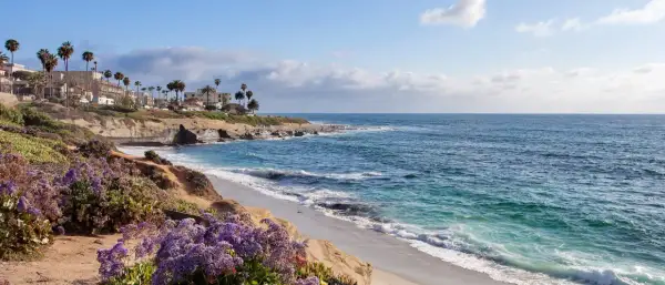 Flores moradas adornan las **playas de La Jolla**, con palmeras y casas en los acantilados, y el océano azul brillante.