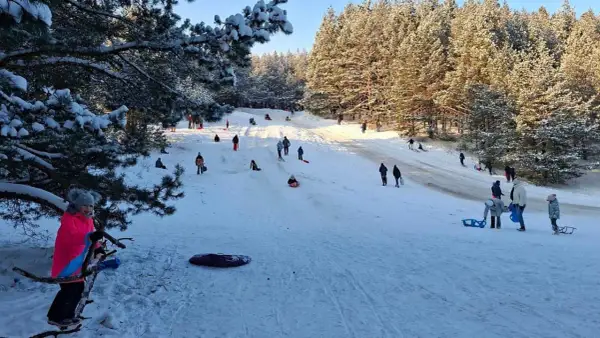 Radosne ferie zimowe na Podlasiu. Dzieci i dorośli zjeżdżają na sankach po ośnieżonym stoku, otoczonym zimowym lasem.