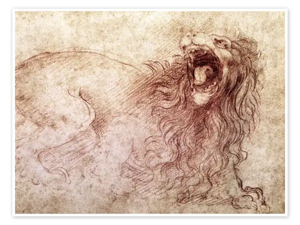 Leonardo da Vinci rysunek przedstawia ryczącego lwa z otwartą paszczą i bujną grzywą, uchwyconego w dynamicznym ruchu.