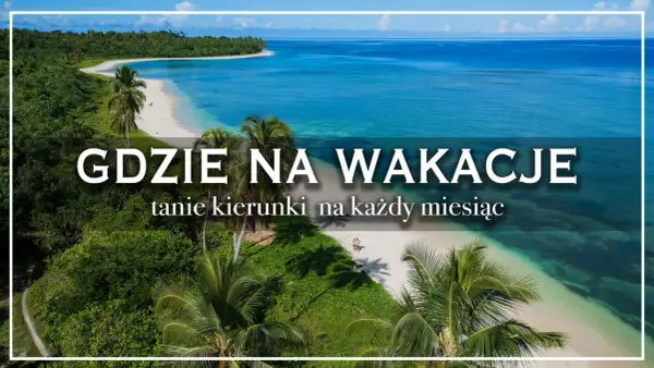 Rajska plaża z palmami i turkusową wodą. Szukasz pomysłu, gdzie tanio na wakacje za granicę?