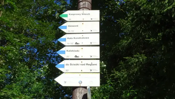 Tablica z drogowskazami w Tatrach: Kasprowy Wierch, Giewont, Hala Kondratowa, Kalatówki, Ścieżka nad Regłami, Lawinowe Centrum Treningowe. W tle las i niebo.