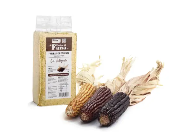Un sacchetto di farina di mais integrale per polenta, con tre pannocchie di mais colorate (giallo, rosso, viola) accanto.