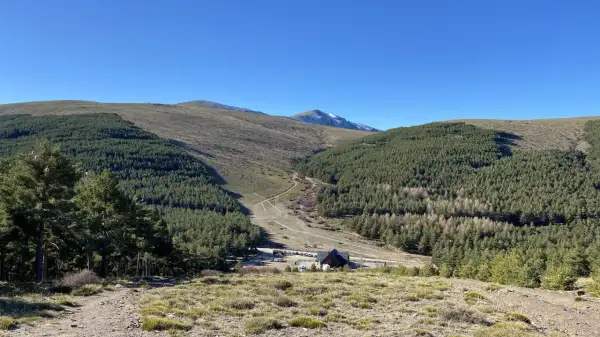 Paisaje montañoso con bosques de pinos y un camino que desciende hacia el puerto de la Ragua. Se ve una edificación y coches aparcados.