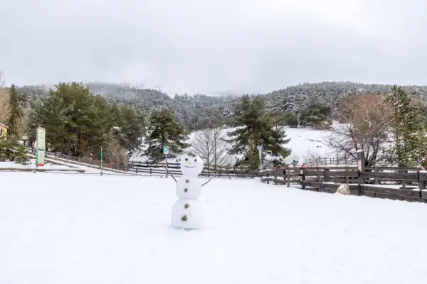 Muñeco de nieve sonriente en un paisaje nevado, ideal para saber donde ver nieve en Madrid. Bosques cubiertos de blanco y cielo nublado.