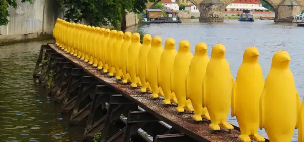 Żółte pingwiny na moście w Pradze to nietypowe atrakcje. Rząd żółtych rzeźb tworzy niezwykły widok nad rzeką.