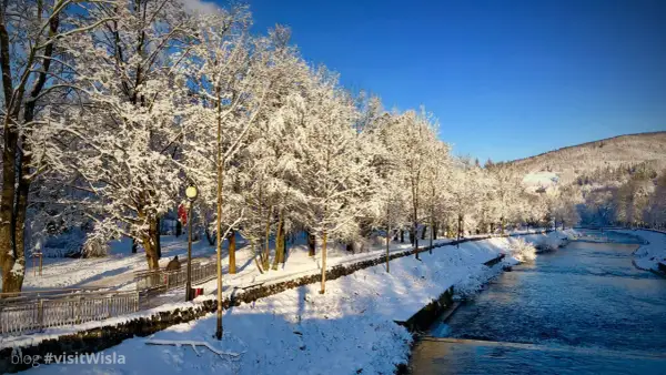 Zimowe szlaki turystyczne dla dzieci w Wiśle. Śnieżne drzewa nad rzeką, słoneczny dzień.