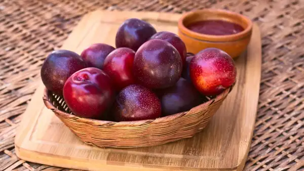 Korb mit dunklen, glänzenden Pflaumen. Vorsicht: unreife Pflaumen giftig! Daneben eine kleine Schale mit Pflaumenmus.
