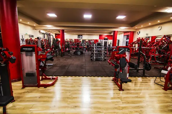 Fusgym: Oficjalne centrum Hammer Strength - Siła i Kondycja