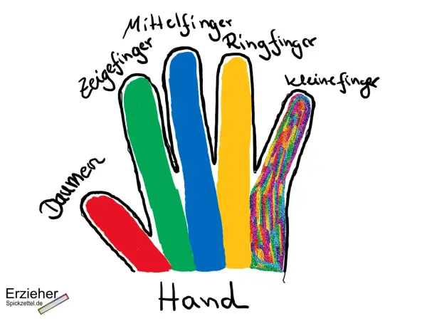 Bunte Finger einer Hand sind beschriftet: Daumen (rot), Zeigefinger (grün), Mittelfinger (blau), Ringfinger (gelb) und kleiner Finger (bunt).