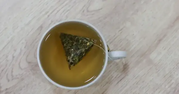 Torebka z ziołami w filiżance z naparem. Idealna zielona herbata na żołądek, by poczuć ulgę.