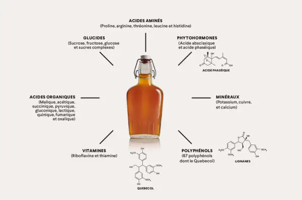 Composition sirop d'érable : acides aminés, glucides, phytohormones, acides organiques, vitamines, minéraux, polyphénols et lignanes.
