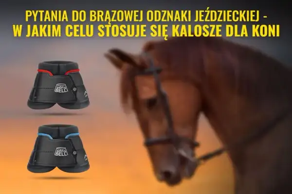 Po co są kaloszki dla konia? Odkryj ich kluczowe korzyści