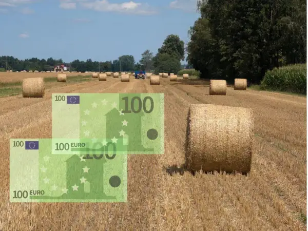 Pole z belami słomy i rachunki 100 euro. Zastanawiasz się, ile wynosi dopłata do 1 ha zboża?
