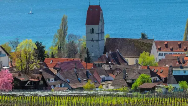 Hagnau, ein Geheimtipp am Bodensee. Weinreben im Vordergrund, malerische Dächer und der Kirchturm vor blauem Wasser.