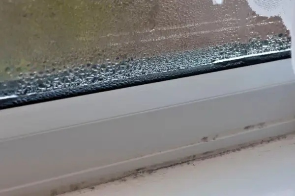 Dlaczego mam zaparowane okna w domu? Oto przyczyny i rozwiązania