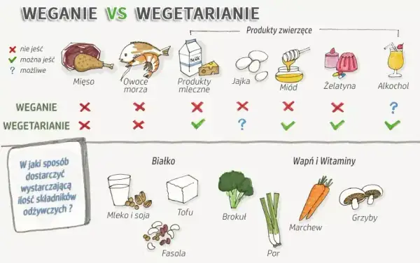 Dieta wegetariańska czego nie można jeść – unikaj tych produktów