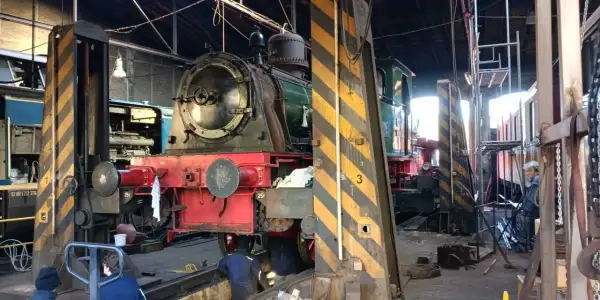 Im Eisenbahnmuseum Dieringhausen stehen mehrere Dampflokomotiven zur Wartung bereit. Eine rote und grüne Lokomotive ist im Vordergrund zu sehen.