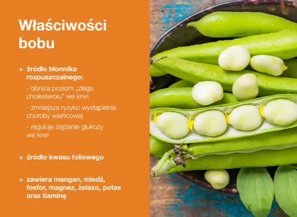 Bob to źródło błonnika, kwasu foliowego i minerałów. Niskie kcal, a wysokie wartości odżywcze.