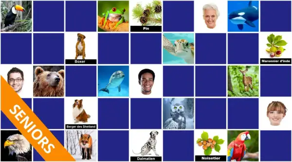 Jeu de mémoire dur : toucan, grenouille, pin, boxer, tortue, marronnier d'Inde, homme, ours brun, dauphin, homme, cerf, chouette, aigle, berger des Shetland, renard, dalmatien, noisetier, ara.