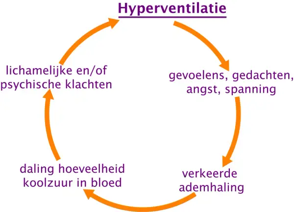Diagram van hyperventilatie: gevoelens, gedachten, angst, spanning leiden tot verkeerde ademhaling, daling koolzuur, en klachten. Een hyperventilatie zakje blazen kan helpen.