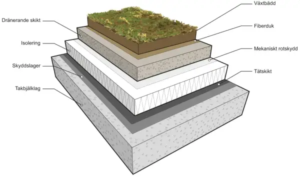Detaljerad illustration av en sedumtak konstruktion med lager som växtbädd, fiberduk, isolering och tätskikt.