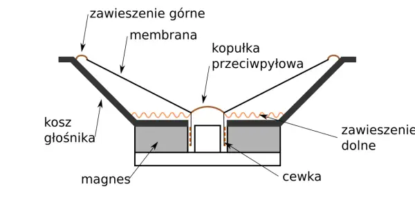 Schemat budowy kolumny głośnikowej: membrana, zawieszenie górne i dolne, kopułka przeciwpyłowa, kosz, magnes i cewka.