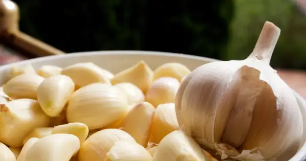Czosnek, znany ze swoich właściwości zdrowotnych, w misce z obranymi ząbkami. Na co pomaga czosnek? Wzmacnia odporność i działa antybakteryjnie.