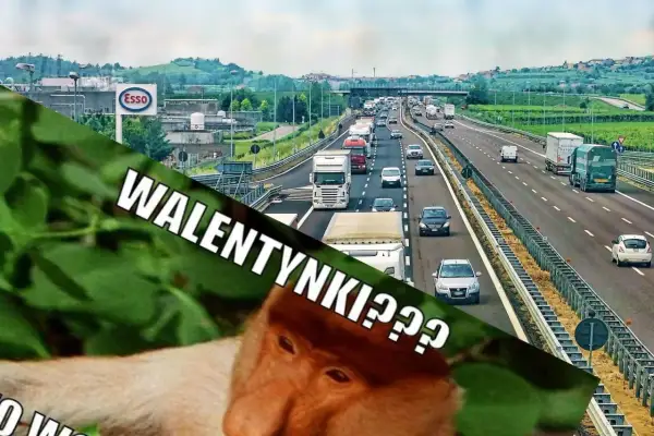 Korek na autostradzie, a na pierwszym planie nosacz z tekstem "WALENTYNKI???". Memy i kartki na Walentynki bywają różne.