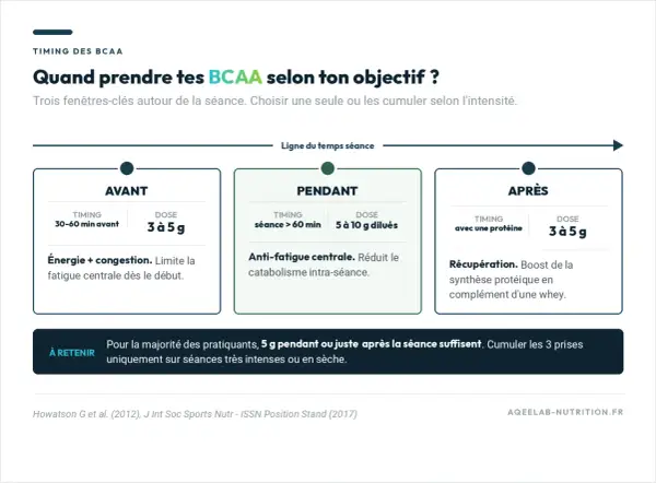 Quand prendre tes BCAA ? Avant, pendant ou après ta séance pour l'énergie, l'anti-fatigue ou la récupération.