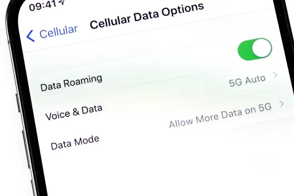 Ustawienia telefonu: jak włączyć roaming danych. Widoczny przełącznik "Data Roaming" jest włączony.