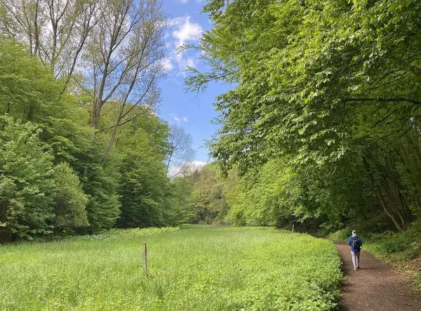 Ein Wanderer auf dem Liewerfrauenweg in Solingen genießt die üppige grüne Natur und den blauen Himmel.