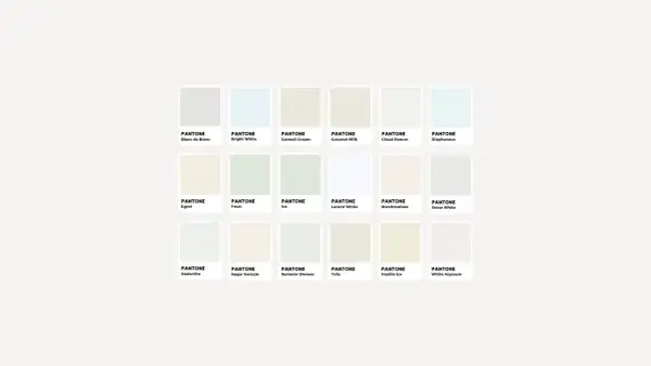 Palette di sfumature di bianco, con nomi evocativi come "Blanc de Blanc" e "Snow White", per ogni colore codice.
