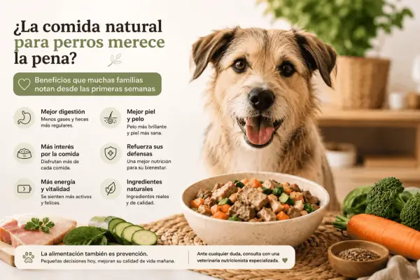 Perro feliz junto a un bol de comida natural. Beneficios: mejor digestión, piel, energía y defensas. Opiniones sobre comida natural para perros.