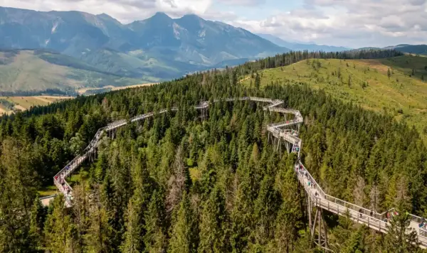 Ścieżka w koronach drzew na Słowacji, blisko granicy z Polską, oferuje wspaniałe widoki na Tatry.