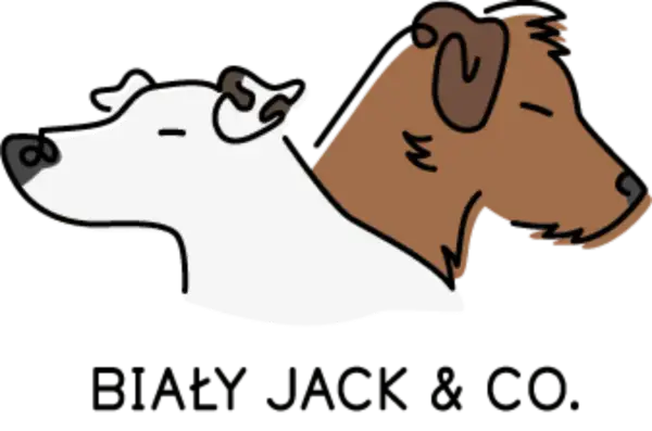 Dwa psy, biały i brązowy, patrzą w bok. Biały Jack i jego przyjaciel.
