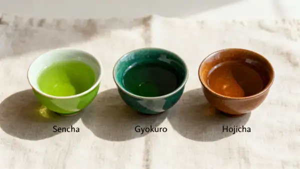 Tre skålar med te: ljusgrönt Sencha, mörkgrönt Gyokuro och brunt Hojicha. Olika te smaker att upptäcka.