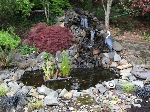 A serene homemade pond waterfall cascades over rocks into a dark pool. A decorative heron statue watches over the koi swimming below.