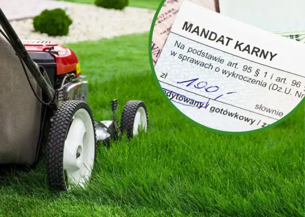 Kosiarka na zielonym trawniku i mandat karny na 190 zł. Czy można kosic trawe w niedziele? To pytanie może kosztować.