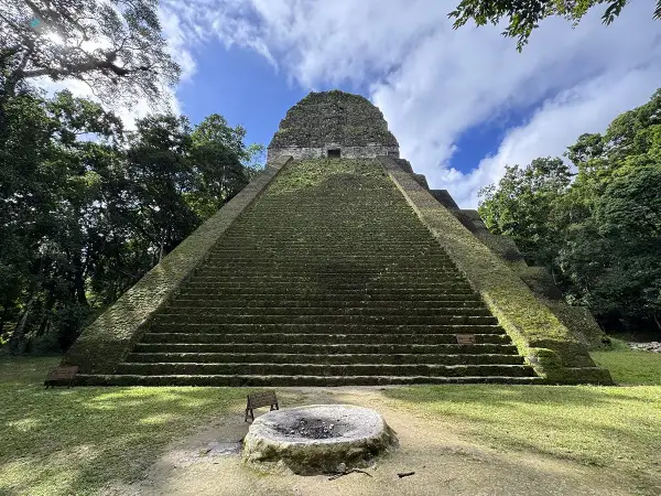 Pirámide maya cubierta de musgo en Tikal, Guatemala. El sol ilumina las escalinatas, rodeadas de exuberante vegetación, como si fueran flores silvestres de Guatemala.