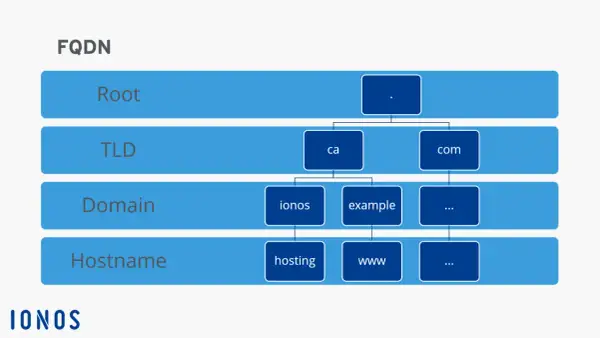 Schéma FQDN : Root, TLD (ca, com), Domain (ionos, example), Hostname (hosting, www).