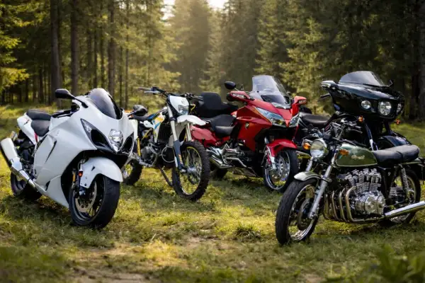 Różnorodne motocykle, od sportowych po turystyczne i klasyczne, stoją w lesie. Każdy z nich to rozdział w historii motocykla.