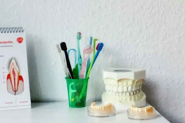 Model szczęki, szczoteczki i materiały edukacyjne o zgorzeli zęba. Dbanie o higienę zapobiega chorobom przyzębia.